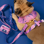 Frenchie Duo Reversible Harness - Pink Marble