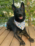 Load image into Gallery viewer, Pirate Shark Bandana