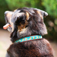 Load image into Gallery viewer, Up Country Pizza Lover Cast Brass Dog Collar