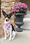 Load image into Gallery viewer, Plaid Luxe Flannel Dog Bandana