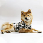 Plaid Dog Dress Coat
