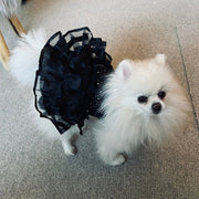 Bling Black Dog Party Dress