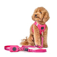 Load image into Gallery viewer, DOGISTRY Poop Bag Holder - Park Ave Pink