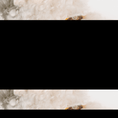 Load image into Gallery viewer, Popcorn Pet Charm