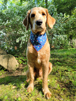 Popsicles Summer Dog Bandana