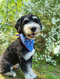 Load image into Gallery viewer, Popsicles Summer Dog Bandana