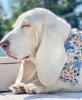 Load image into Gallery viewer, Pretty Flowers Dog Bandana
