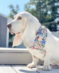 Load image into Gallery viewer, Pretty Flowers Dog Bandana