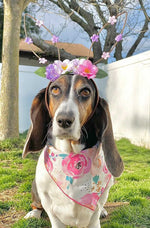 Pretty Rose Dog Bandana