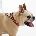 Load image into Gallery viewer, Up Country Pumpkin Spice Printed - Brown Made in USA Dog Collar