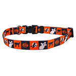 Pumpkin Patch Dog Collar