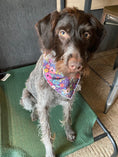 Load image into Gallery viewer, Purple Flower Dog Bandana