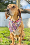 Load image into Gallery viewer, Purple Flower Dog Bandana