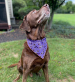 Purple Spiders & Bats