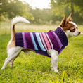 Load image into Gallery viewer, Purple Stripe Dog Sweater
