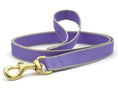 Load image into Gallery viewer, Color Market Dog Lead
