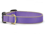 Color Market Dog Collar - Wide