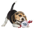 Load image into Gallery viewer, Tampa Bay Rays Nylon Baseball Rope Toy