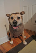 Load image into Gallery viewer, Monkey Hoodie Dog Sweater