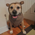 Load image into Gallery viewer, Monkey Hoodie Dog Sweater