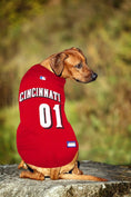 Load image into Gallery viewer, MLB Cincinnati Reds Mesh Dog Jersey