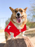 Load image into Gallery viewer, MLB Cincinnati Reds Mesh Dog Jersey