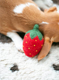 Load image into Gallery viewer, DOGGY STRAWBERRY - Southlake Paws