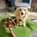 Load image into Gallery viewer, New Red Plaid Dog Harness