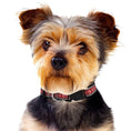 Load image into Gallery viewer, Houston Rockets Satin Collar