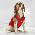 Load image into Gallery viewer, Houston Rockets Dog Jersey