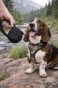 Load image into Gallery viewer, Parisian Pet 'Retractable Leash M' for Dogs & Cats – Stylish 16-Foot Retractable Dog Leash with Ergonomic Handle, Black