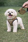 Load image into Gallery viewer, Parisian Pet 'Crystal Retractable Leash Leopard' for Dogs & Cats – Strong, Stylish Leash for Small Dogs, 16-Foot Length