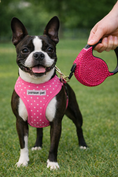 Load image into Gallery viewer, Parisian Pet 'Crystal Retractable Leash Dark Pink' for Dogs & Cats – Durable, Stylish 16-Foot Leash with Ergonomic Handle