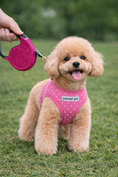 Load image into Gallery viewer, Parisian Pet 'Crystal Retractable Leash Dark Pink' for Dogs & Cats – Durable, Stylish 16-Foot Leash with Ergonomic Handle
