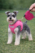 Load image into Gallery viewer, Parisian Pet 'Crystal Retractable Leash Dark Pink' for Dogs & Cats – Durable, Stylish 16-Foot Leash with Ergonomic Handle