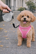 Load image into Gallery viewer, Parisian Pet 'Crystal Retractable Leash Silver' for Dogs & Cats – Durable, Stylish 16-Foot Leash with Comfortable Grip