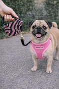 Load image into Gallery viewer, Parisian Pet 'Crystal Retractable Leash Zebra Pink' for Dogs & Cats – 16-Foot Retractable Leash with Zebra Print