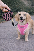 Load image into Gallery viewer, Parisian Pet 'Crystal Retractable Leash Zebra Pink' for Dogs & Cats – 16-Foot Retractable Leash with Zebra Print