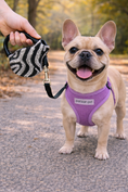 Load image into Gallery viewer, Parisian Pet 'Crystal Retractable Leash Zebra Silver' for Dogs & Cats – Durable, High-Quality Silver Pet Leash with Ergonomic Handle