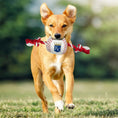 Load image into Gallery viewer, Kansas City Royals Nylon Baseball Rope Toy