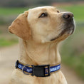 Load image into Gallery viewer, Kansas City Royals Satin Collar