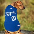 Load image into Gallery viewer, Kansas City Royals MLB Dog Jersey - Official Baseball Pet Fan Apparel