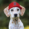 Load image into Gallery viewer, MLB Boston Red Sox Dog Hat