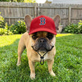 Load image into Gallery viewer, MLB Boston Red Sox Dog Hat