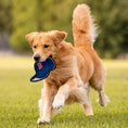Load image into Gallery viewer, Boston Red Sox Baseball Cap Tough Toy