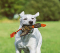 Load image into Gallery viewer, Realtree Mallard Sling Shot Toy