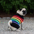 Load image into Gallery viewer, Up Country Rainbones Sweater Pet Accessory