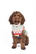 Load image into Gallery viewer, Rainbow Snowflake Dog Sweater