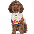Load image into Gallery viewer, Rainbow Snowflake Dog Sweater