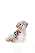 Load image into Gallery viewer, Rainbow Snowflake Dog Sweater
